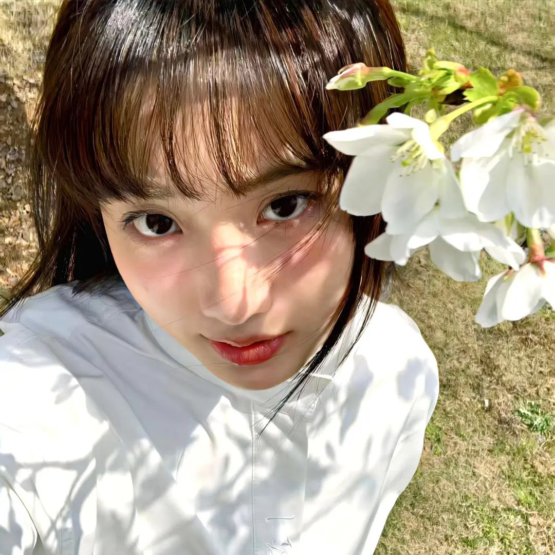 睡花